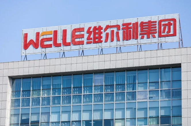 維爾利集團榮獲2024年度環境保護科技進步一等獎等多個獎項